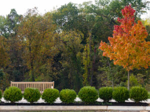 Riverbend Overlook